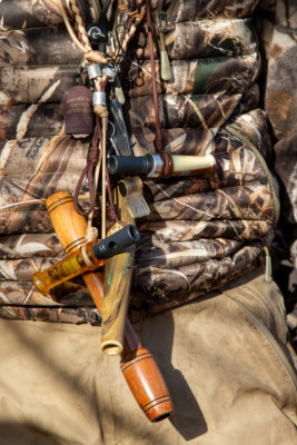 Image copyright Ian Roderer, used with permission